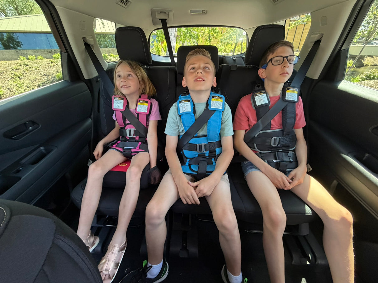 RideSafer GEN6 Travel Vest Delight (S-XL)