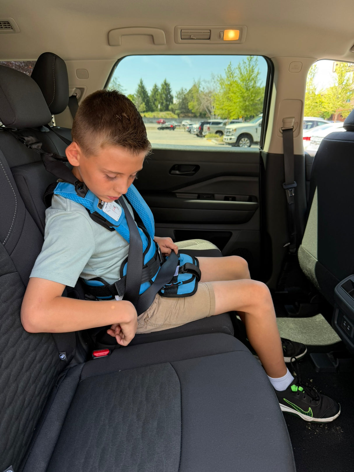 RideSafer GEN6 Travel Vest Delight (S-XL)