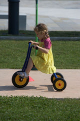 Italtrike Atlantic Tricycle, Small