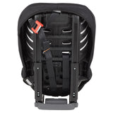 Evenflo Sonus Convertible Car Seat (Case of 2)